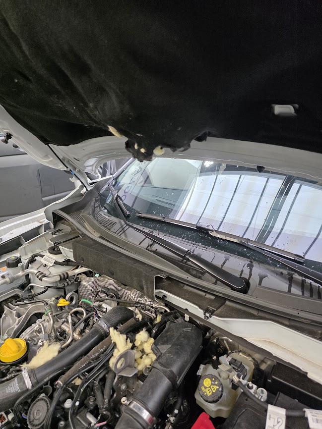 Aangeknaagde isolatie onder je motorkap kan tussen je bewegende motor onderdelen terechtkomen en kan dit voor ernstige schade zorgen...  Controleer regelmatig onder je motorkap naar aanwezigheid van geheime bewoners of bezoekers...