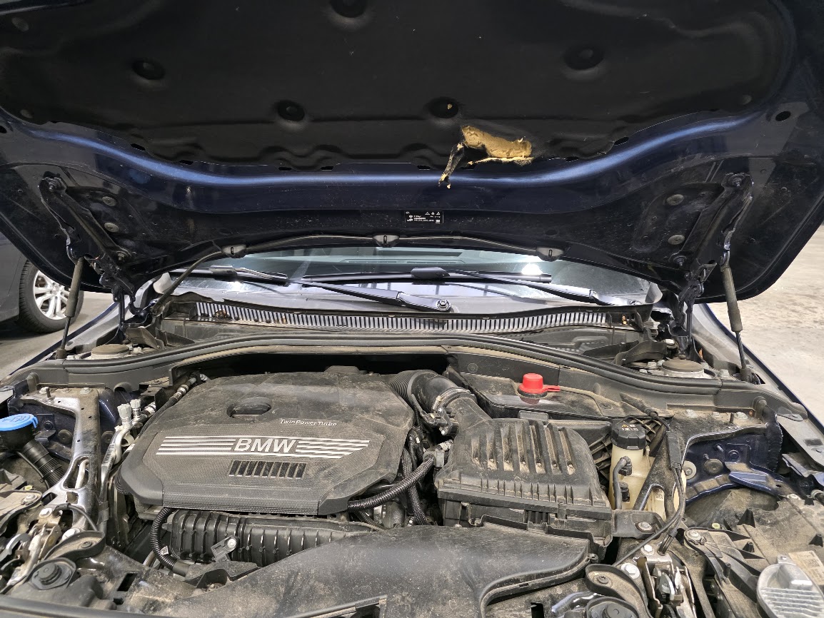 Aangeknaagde isolatie onder je motorkap kan tussen je bewegende motor onderdelen terechtkomen en kan dit voor ernstige schade zorgen...  OPGELET. Controleer regelmatig onder je motorkap naar aanwezigheid van geheime bewoners of bezoekers...